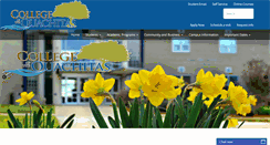 Desktop Screenshot of coto.edu